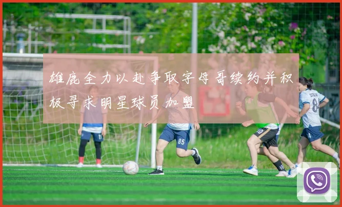 雄鹿全力以赴争取字母哥续约并积极寻求明星球员加盟