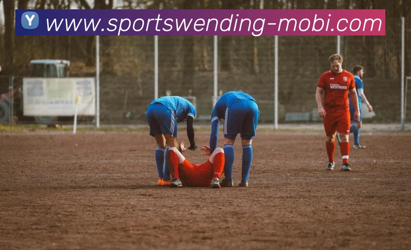 问鼎娱乐平台生态图